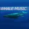 harvoYT - Whale Music - Single